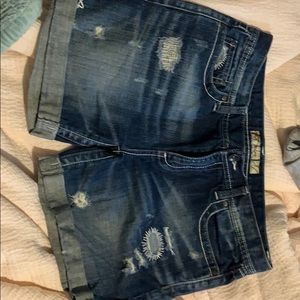 BKE shorts
